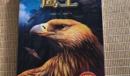 鹰王比赛爆料视频完整版,揭秘完整版爆料视频中的惊心动魄瞬间