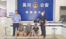 吴川公安最新爆料,重大案件侦破进展公布