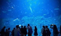 海上乐园爆料事件视频,事件真相与幕后黑幕曝光