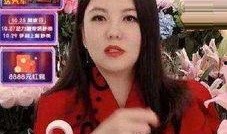 老板爆料李湘视频大全集,老板爆料背后的故事与真相