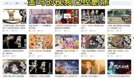 火影哪里可以看爆料视频,揭秘忍界传奇背后的秘密瞬间！