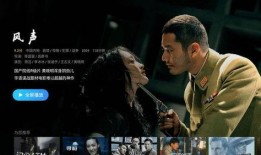 风声在线观看视频,揭秘谍战风云中的生死较量