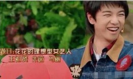 华晨宇娱乐圈爆料事件,揭秘背后真相与影响