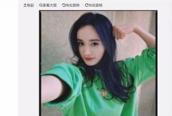 在哪里可以免费吃瓜明星,揭秘明星免费“吃瓜”的秘密基地