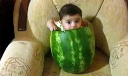 禹城大瓜爆料视频,一场引人入胜的爆料盛宴