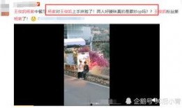 王俊凯爆料杨紫视频全集,视频全集精彩回顾