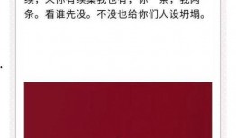 陈山爆料辛巴视频,视频曝光惊人真相
