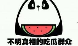 我在娱乐公司吃瓜,揭秘娱乐公司吃瓜大事件