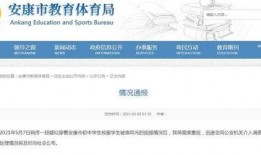 陕西学生爆料视频大全集,揭秘校园生活背后的真实故事