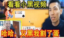 黑蛋爆料直播视频大全在线观看,精彩瞬间回顾