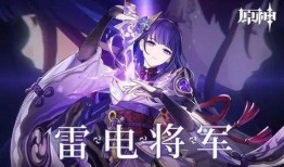 雷电将军爆料图文大全最新,揭秘神秘角色背后的故事与秘密