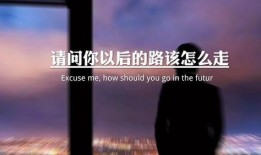 情感语录爆料视频素材,揭秘视频素材中的真挚情感瞬间