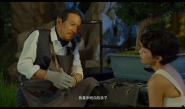喜宝电影在线观看,爱情与金钱的纠葛，在线观看情感盛宴