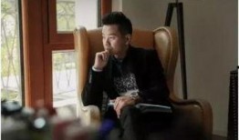 爆料华裔兄弟视频播放,揭秘背后惊人真相