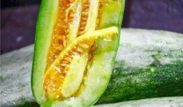 吃瓜网红 图片高清壁纸,高清壁纸下的吃瓜网红风采