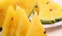 黑瓜吃料网免费,免费资源一网打尽，轻松获取海量素材