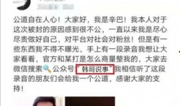 陈山爆料辛巴视频,视频曝光惊人真相