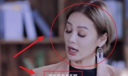 宁静采访爆料视频,揭秘娱乐圈幕后真相