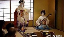 日本艺伎爆料视频大全集,独家爆料视频大全集深度解析