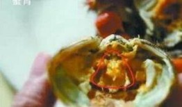 苏州新闻蟹黄爆料事件