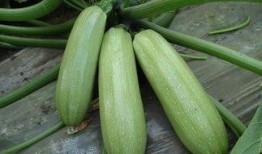 济宁吃瓜最新事件爆料是真的吗,真相揭秘还是网络谣言？