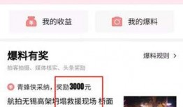 香港爆料头条视频下载,揭秘视频背后的惊人真相