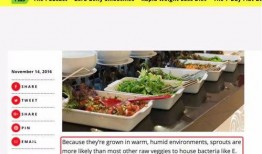 六菜独家爆料网站大全最新,六菜独家爆料网站大全最新动态，带你领略网络爆料新趋势
