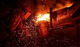 杨森乳业爆料最新消息,揭秘行业动态，探寻乳业未来趋势