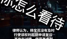 无锡热点新闻爆料事件视频,视频爆料事件引发社会关注