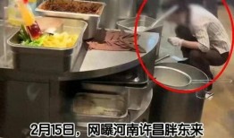 小老饭庄老板爆料视频大全,揭秘美食背后的故事与真相