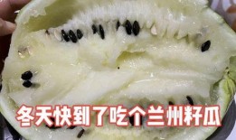 兰州籽瓜可以免费吃吗