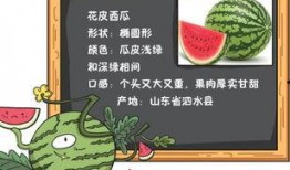 小说吃瓜的邻居免费阅读,揭秘邻里间的秘密生活