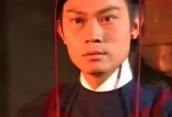 杨思明敏金瓶全集在线观看