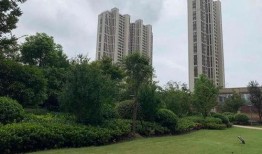 振业城业主爆料视频最新,真相触目惊心！