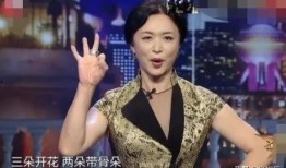 金星爆料酒店事件视频大全,揭秘娱乐圈不为人知的真相