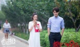 国民老公电视在线观看,网络热剧，在线观看热潮席卷而来