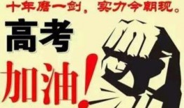 励志爆料视频大全高清,高清励志爆料大全精选