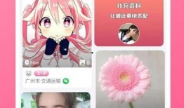 网红合租爆料视频下载软件,独家爆料视频下载软件大揭秘