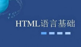 网课爆料新闻,揭秘线上教育行业背后的真相