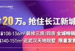 武汉房东最新爆料新闻,揭秘楼市新动态与租赁市场真相