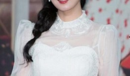 天涯爆料柳岩张朝阳视频,天涯爆料背后的真相揭秘