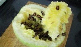 兰州籽瓜可以免费吃吗