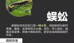 codm新s4手册最新爆料