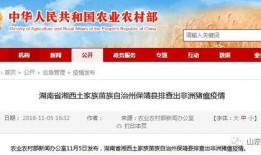 竹山农香最新爆料消息新闻,最新爆料新闻背后的真相