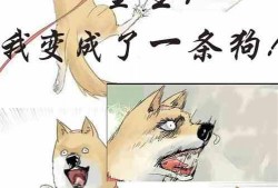 吃瓜看客小说在线阅读免费,揭秘小说世界里的精彩剧情与人物命运