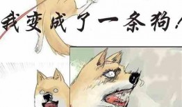 吃瓜看客小说在线阅读免费,揭秘小说世界里的精彩剧情与人物命运