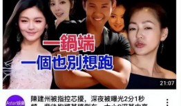 台媒爆料陈建州视频完整版,事件真相全解析