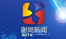 谢岗爆料新闻,揭秘事件背后真相
