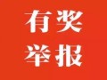 爆料违章视频有奖励吗,参与举报违章视频，共享安全出行成果