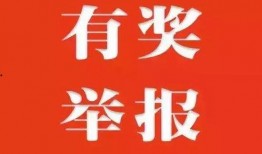 爆料违章视频有奖励吗,参与举报违章视频，共享安全出行成果